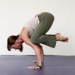hatha_yoga_pose hatha_yoga_pose