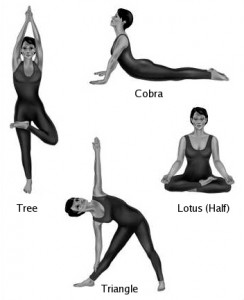 Basic Yoga Poses Basic Yoga Poses