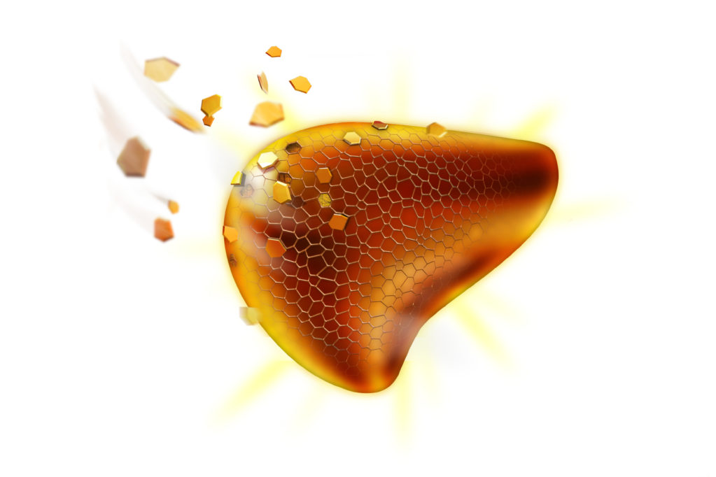 Your liver facts