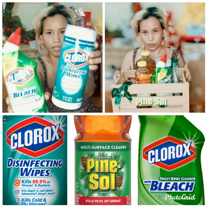 Clean Home for 2020 with Pine-Sol