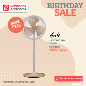robinsons appliances birthday sale aircon electricfan purifier