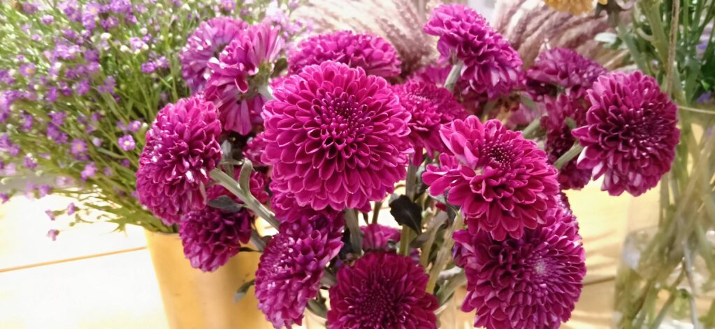 Valentine's Day Flowers 2022