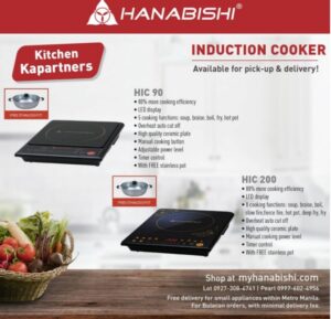 Induction Cooker Hanabishi