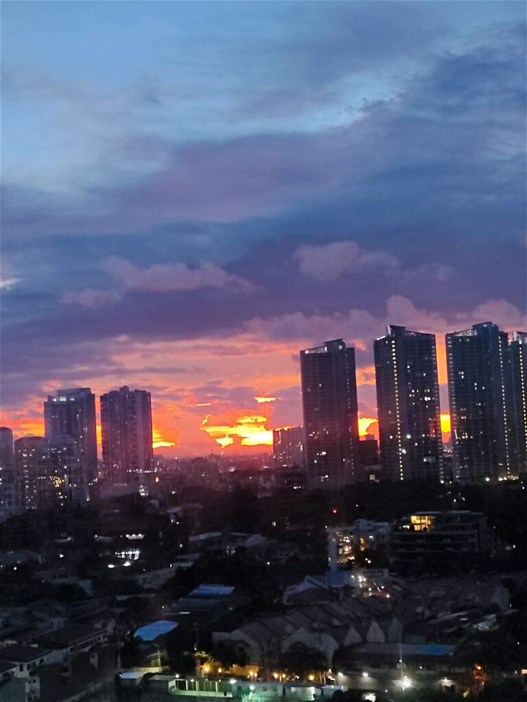 sample phtoos viv t1